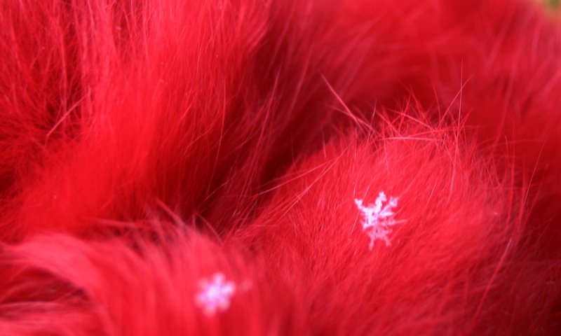 Snowflakes on red fur scarf